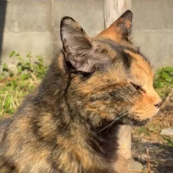 Deddebeb 47f0 4f81 9495 823f3e71c3e9 1762398389860