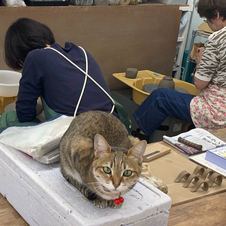 Dede03e8 4439 4e81 86d0 42292fad1523 1748244890196