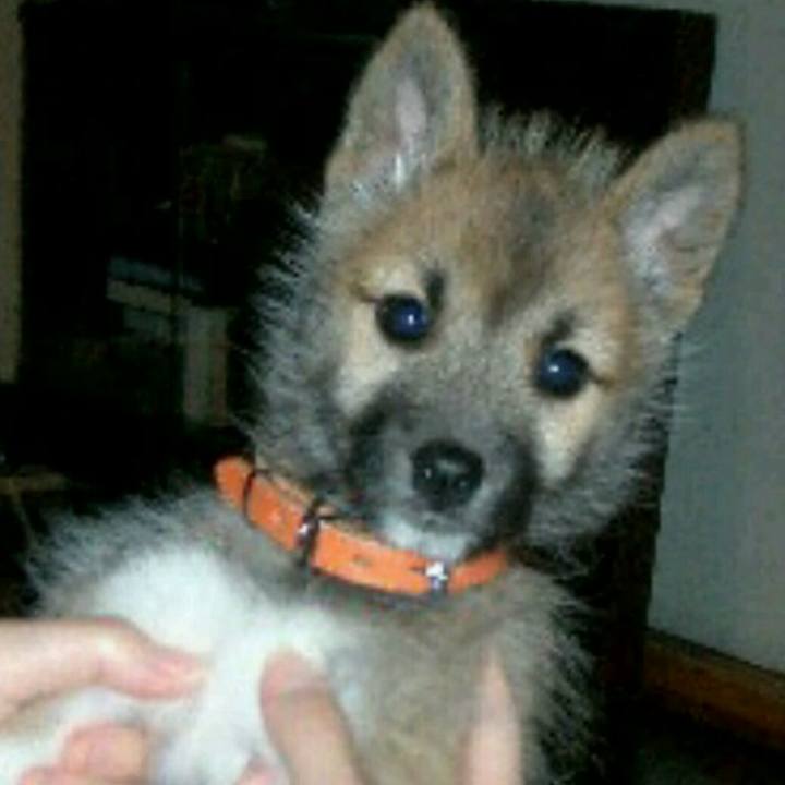 Dede06aa 8cea 4bde afcc 69ef90242473 1511527070539