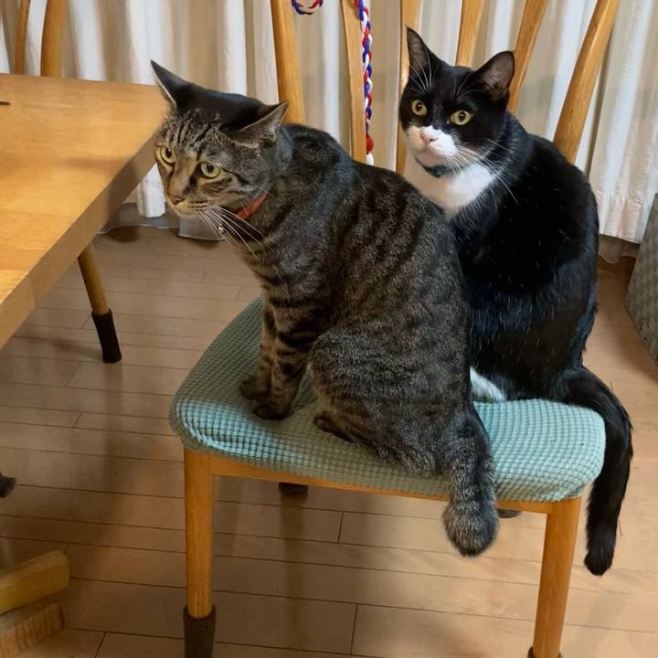 Dede22b3 0cc7 497b b031 2fbefc3b9ca7 1757503179104