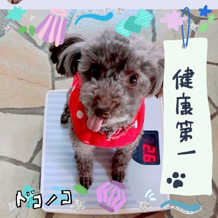 Dede3be0 89b6 4f33 85d0 13a4d824b8a6 1720764025795