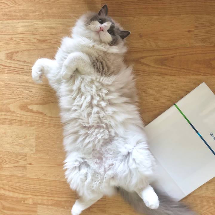 Dede6d00 0fb7 47a4 bf08 e967669faae8 1589505098071