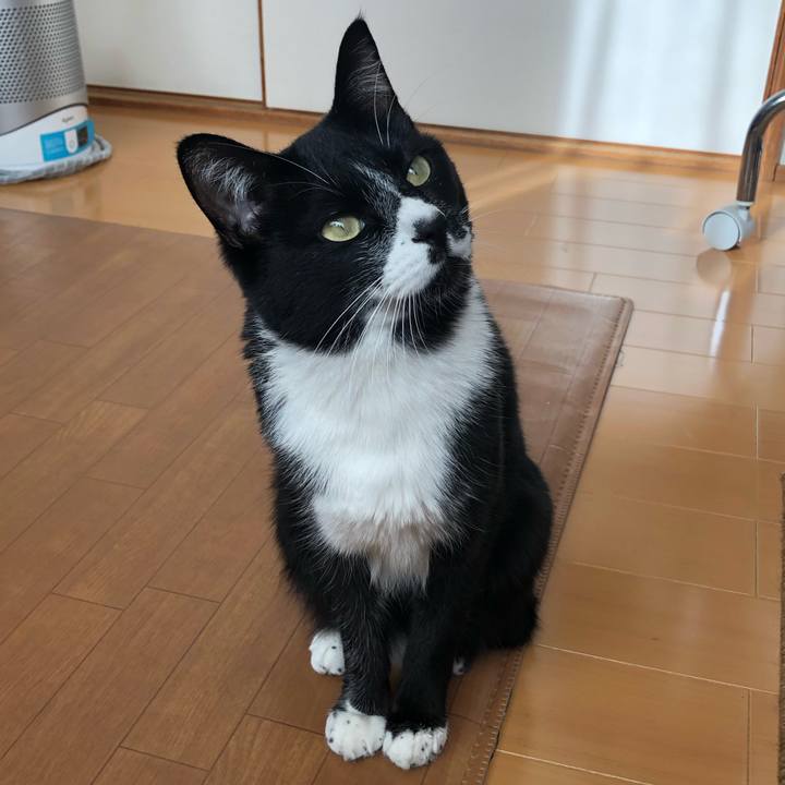 Dede754e 6248 4e44 9aaf ae23dce74dcb 1546273260777