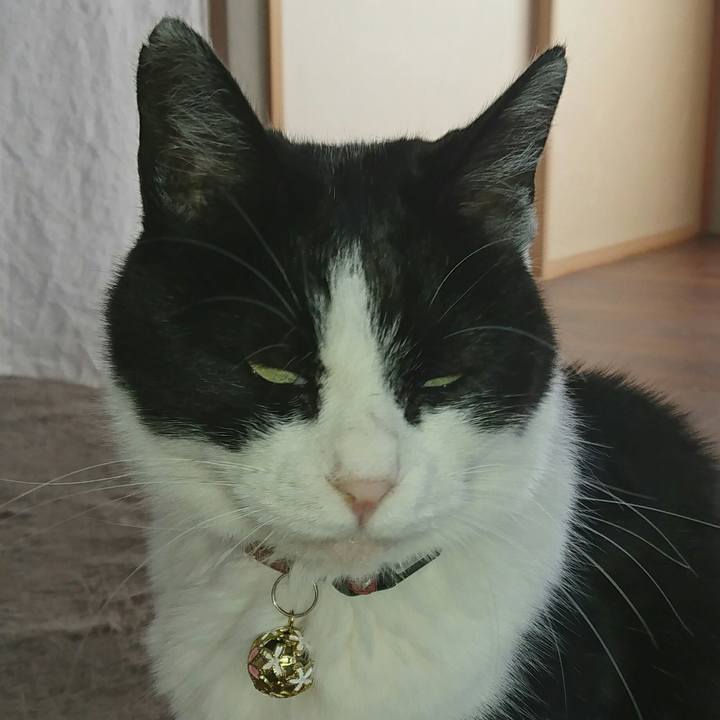 Dede9ba8 3591 48c4 a89f a9cc2f8d5615 1563231777824