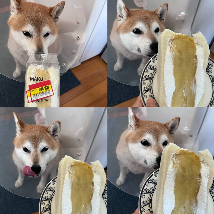 Dede9e4d 481c 4452 ac11 df6029b950e4 1717555448795