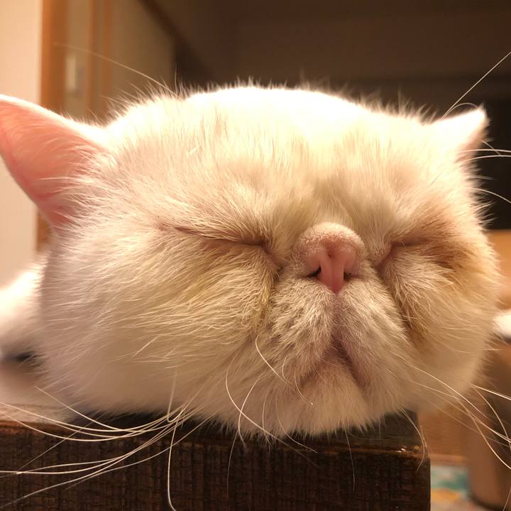 Dedeaa77 6ffa 48a0 8acb 16416e82de82 1634119342253