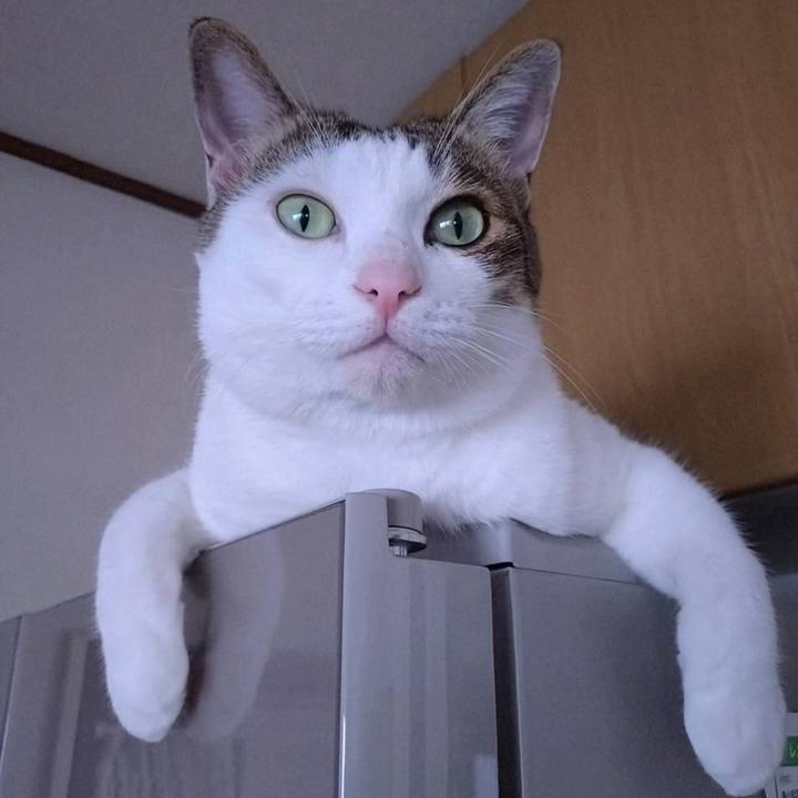 Dedeacbc 405f 4193 87fd 8756b0e28aa5 1756022388429