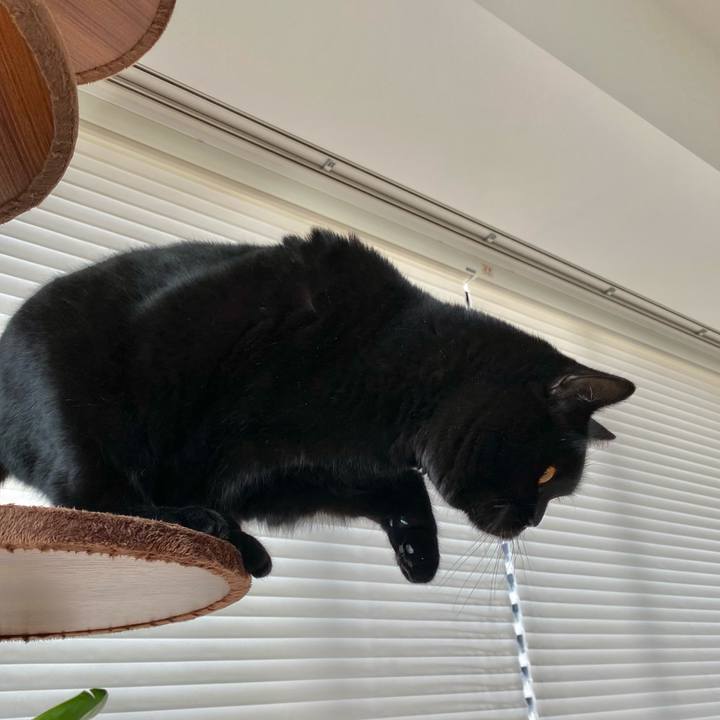 Dedebc3a c762 46d1 ad3e cd842ad3a92c 1605320021019