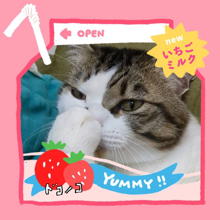 Deded610 b5e2 43e3 b2b7 506fc6cdd689 1711022736527