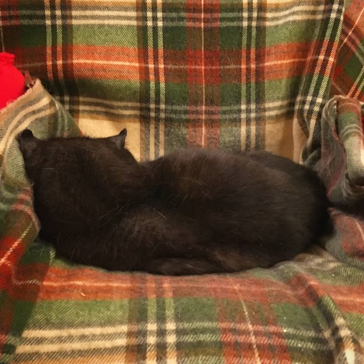 Dedf0c02 99cf 4430 bbcd 83a8cdb1fd6d 1525783949223