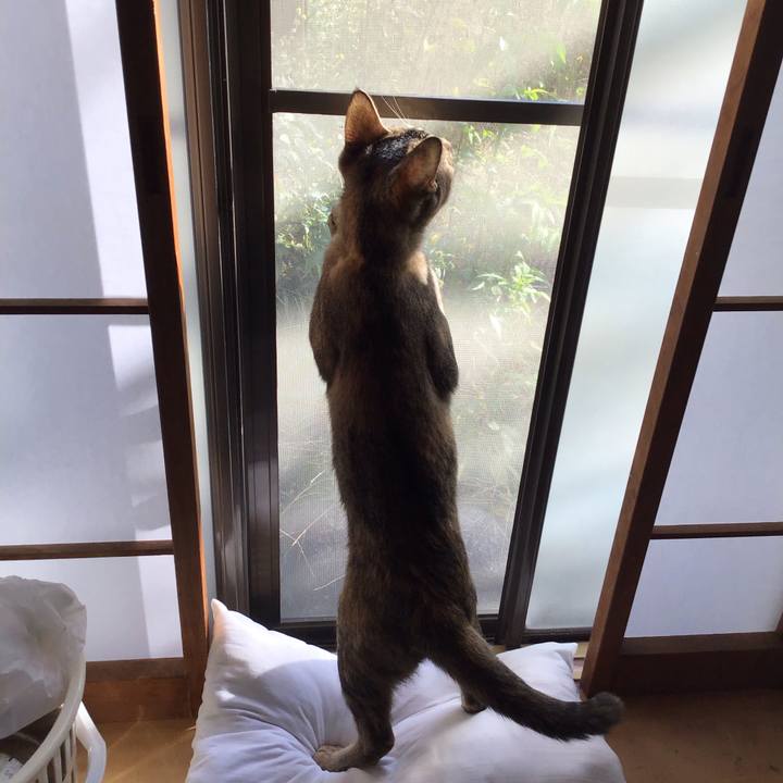 Dedf10b5 029c 4922 8894 3ef55248e217 1573692920462