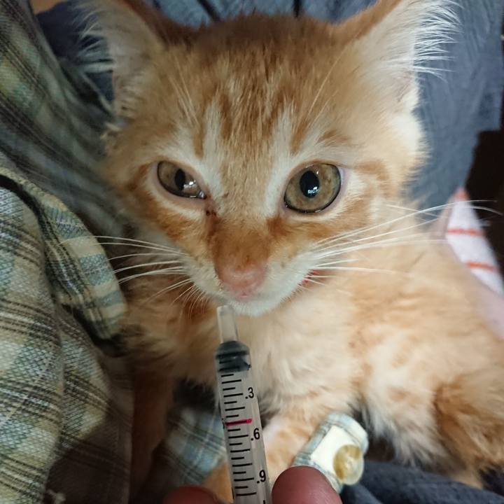 Dedf1fd1 d0a5 423a 9245 e4398b80e360 1628543366083