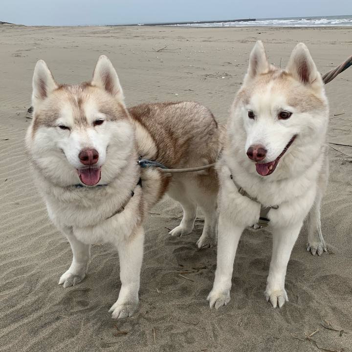 Dedf2162 4a73 45a2 aa0c dffb56e6e32e 1714990711746