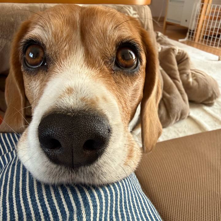 Dedf4628 4edb 42d1 a6a1 5f673199215e 1775965800723