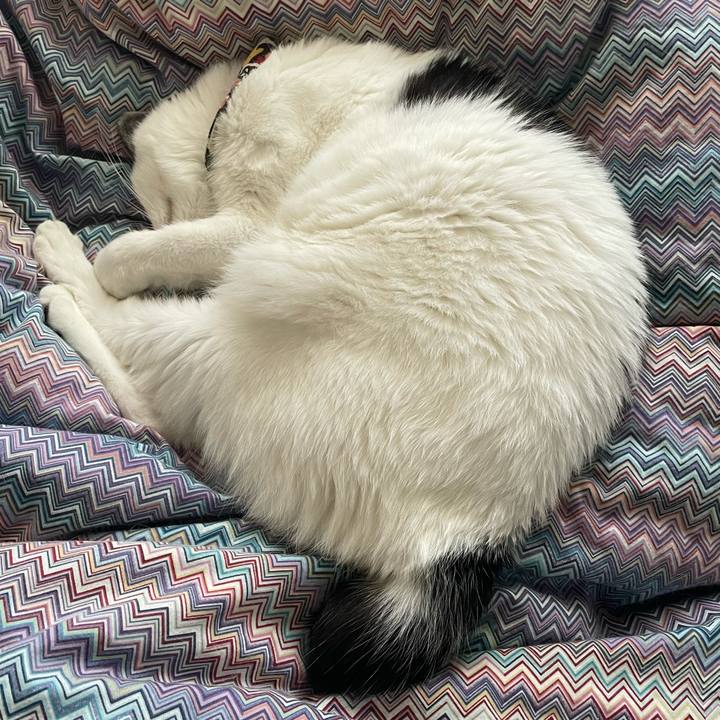 Dedf553a 7b47 402a 9ca8 56c8c2176b22 1635982409145