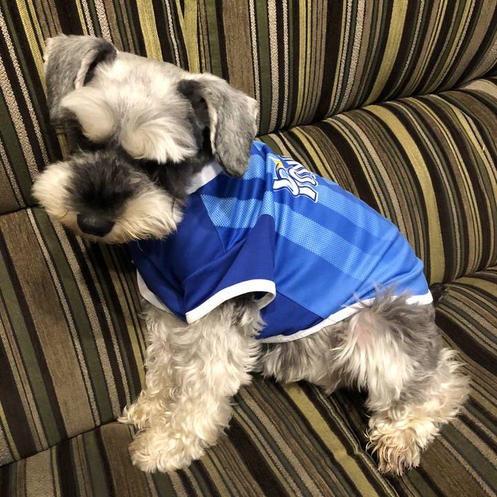 Dedf9323 5c84 4faa b066 772ec9cad803 1531135756416