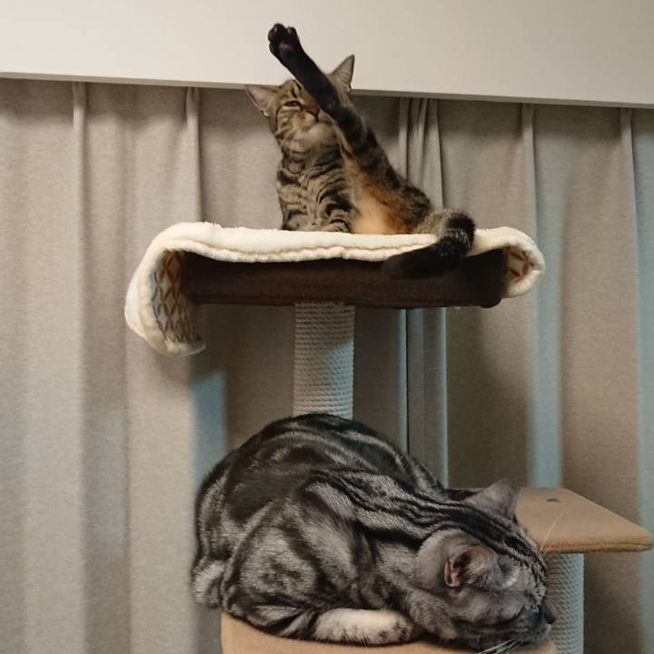 Dedf9f15 79ad 4c30 b5a1 c295e70332a1 1553943090604