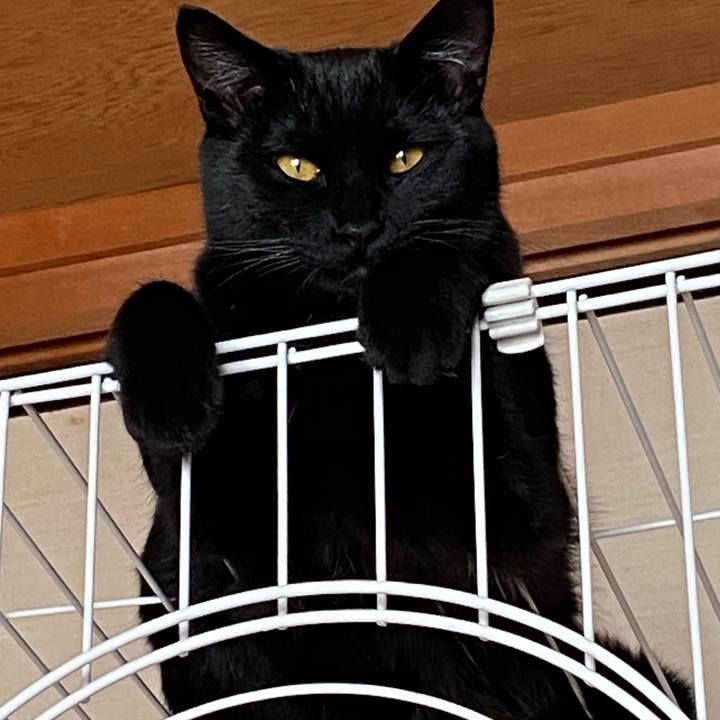 Dee00e33 bb42 4480 ae38 e97c197646ee 1771728677034