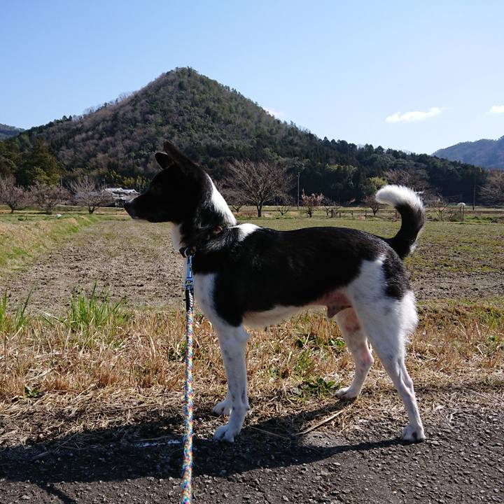 Dee02952 0c0d 4d25 9d0d a813263ffc0e 1553600501086