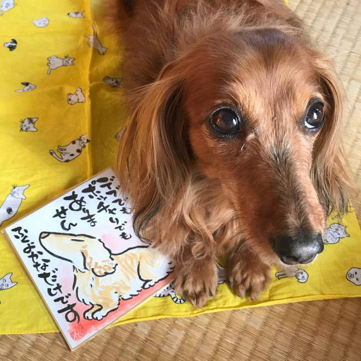 Dee05ae8 e0a6 400b 9aed 78abc3eb0846 1524563714951