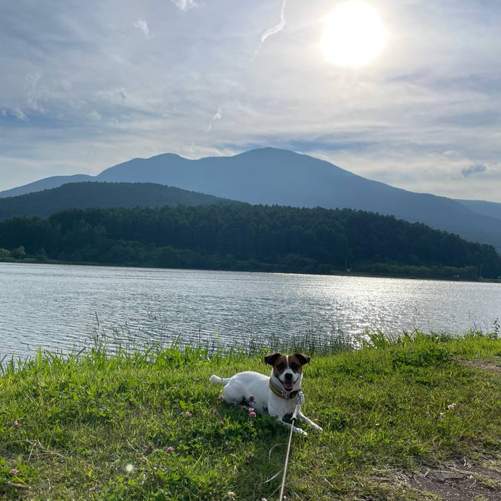 Dee0774e a93c 47fa 9ca0 89cd60e4a39b 1656406852880