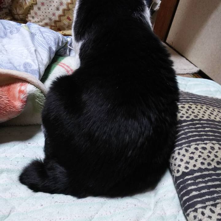 Dee083e5 0abb 4057 b30c 981cb6bcbf2c 1553464694764