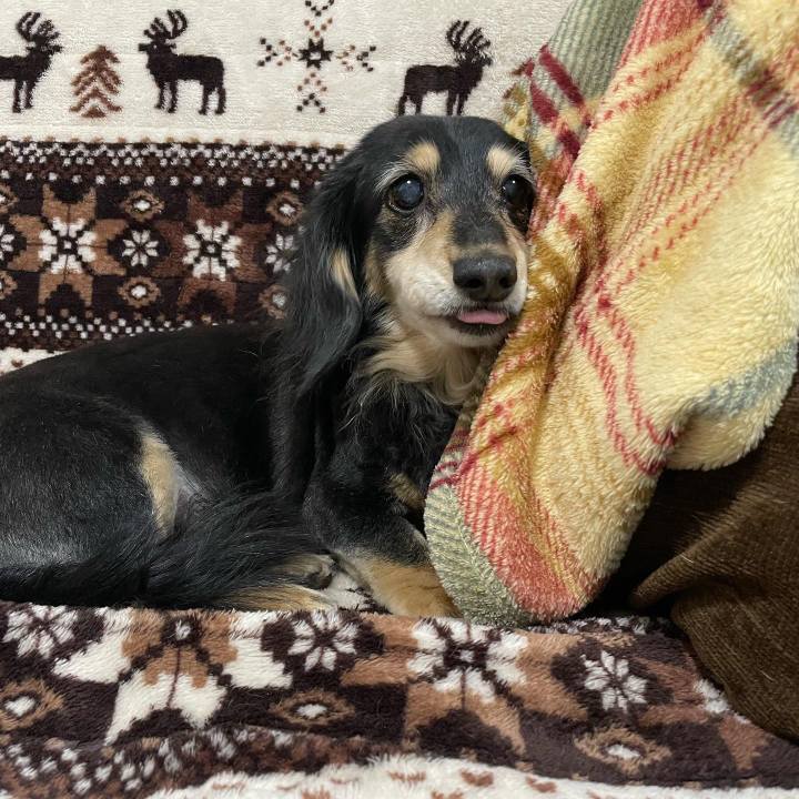 Dee08902 6129 4778 8192 f85e537593c3 1674218715889