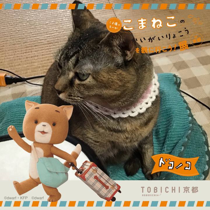 Dee08aba a9d7 4a64 9d9d a8d7361117ff 1740131587520