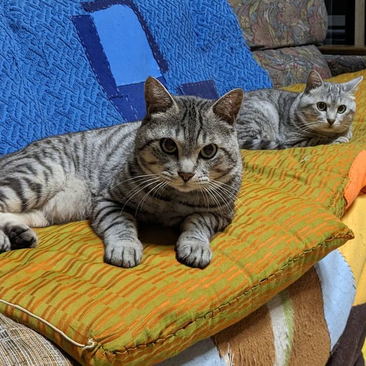 Dee09291 a2ce 4753 b6ea 2af1b61788d7 1693583854776