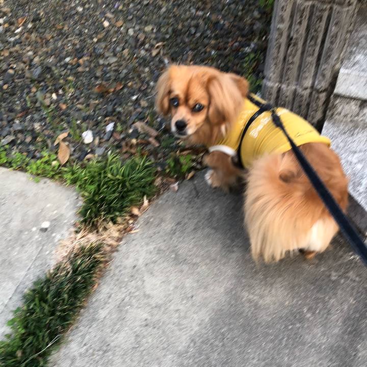 Dee0cb50 7387 4d67 8004 950234c0d268 1524433444620