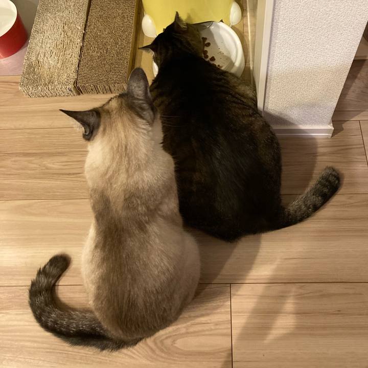 Dee0cf06 2c1a 47cd 9de0 fbe544653630 1621944190273