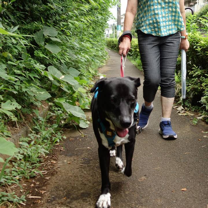 Dee0ee94 3942 4499 bcd5 e25f12c07ea4 1720741497584