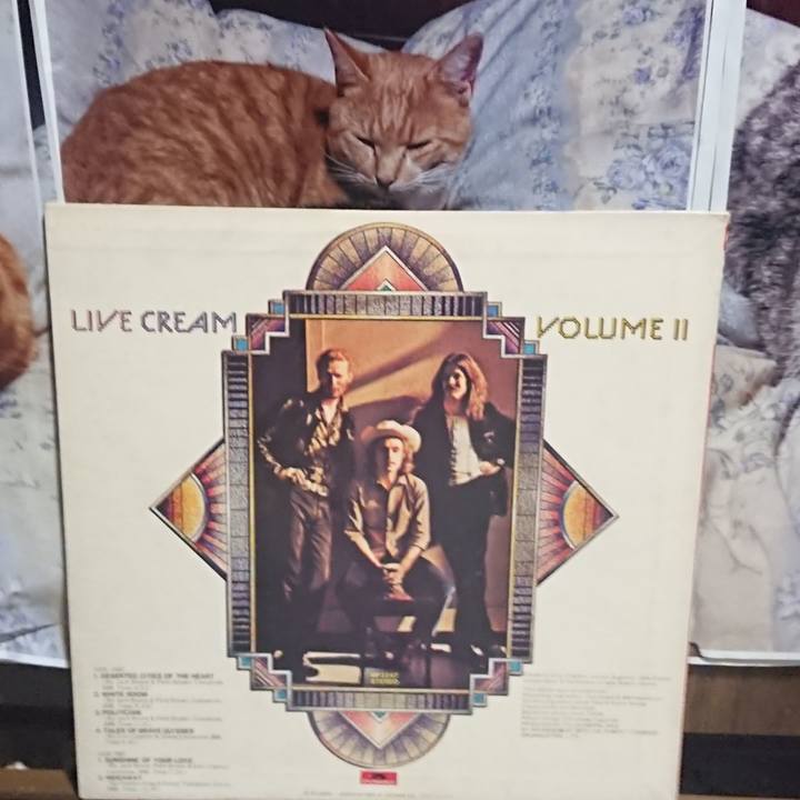 Dee0f113 4d85 492a 9e5f cbedb53717ac 1619437762039