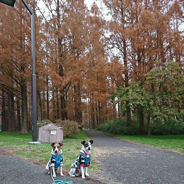 Dee12eba 42ed 4535 a62a 15b4b35eb3a7 1576052558094