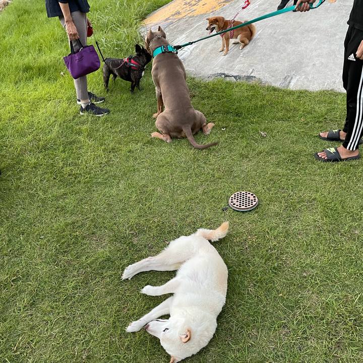 Dee154cd e79a 4d1d a333 def782b99769 1665840664458