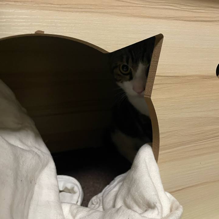 Dee163fd 97e6 40b8 b8fd c0211ffeeccb 1729692642476