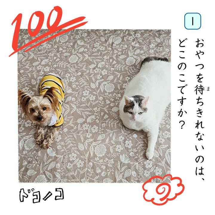 Dee1a47d d480 4045 b521 dbf81a282274 1744261801041