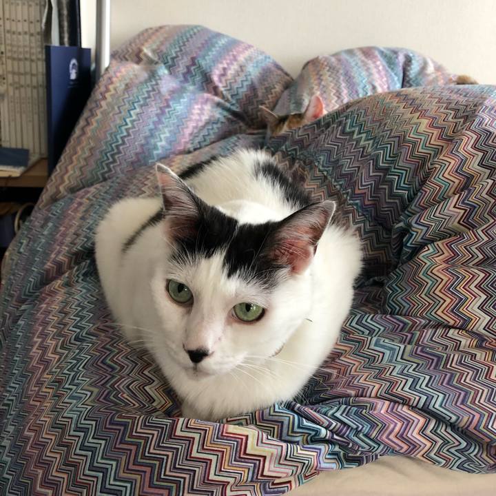 Dee1b70d ccb4 4a4f 9800 03eb526d73d3 1565762473217