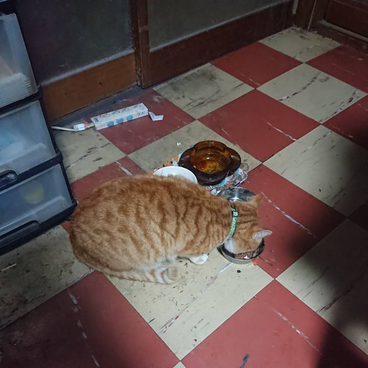 Dee1e0ba a7da 47e0 a495 053c2a1ebb98 1582316958809