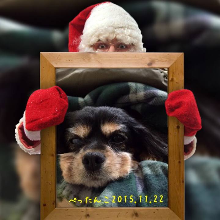 Dee1e82e c350 4b7c 99f7 17bc41dedbe6 1511360091679