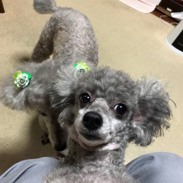 Dee20416 4afe 4bd0 9bf9 ef996d0ff7d7 1568024554994