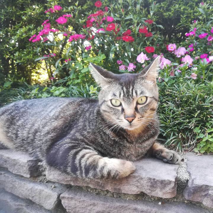 Dee214a7 095a 4b79 a886 5f60b88d16e1 1524379464994