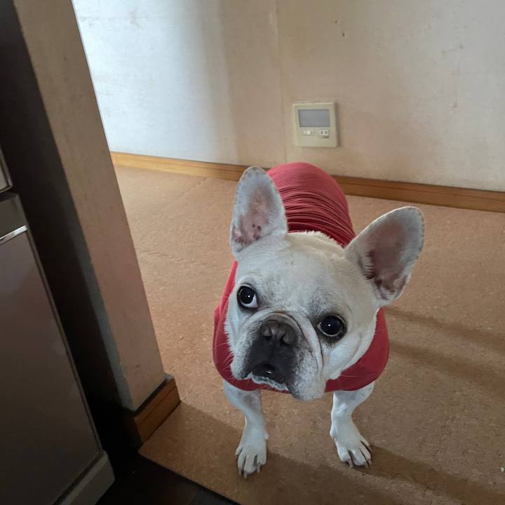 Dee22dc7 3af5 4906 825f d8c81e29153b 1760420245989