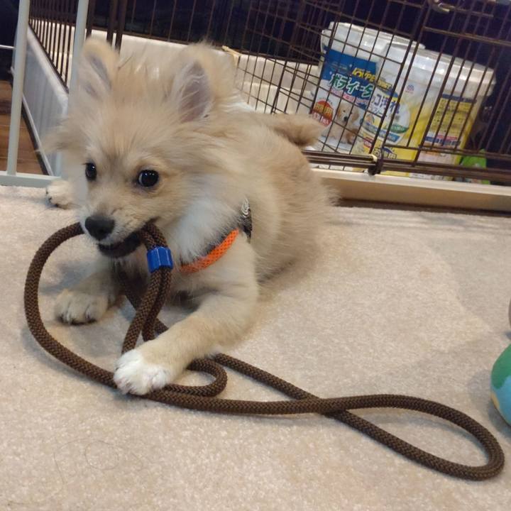 Dee23bb5 9575 4d33 b7a4 f21e224678c9 1727325827864