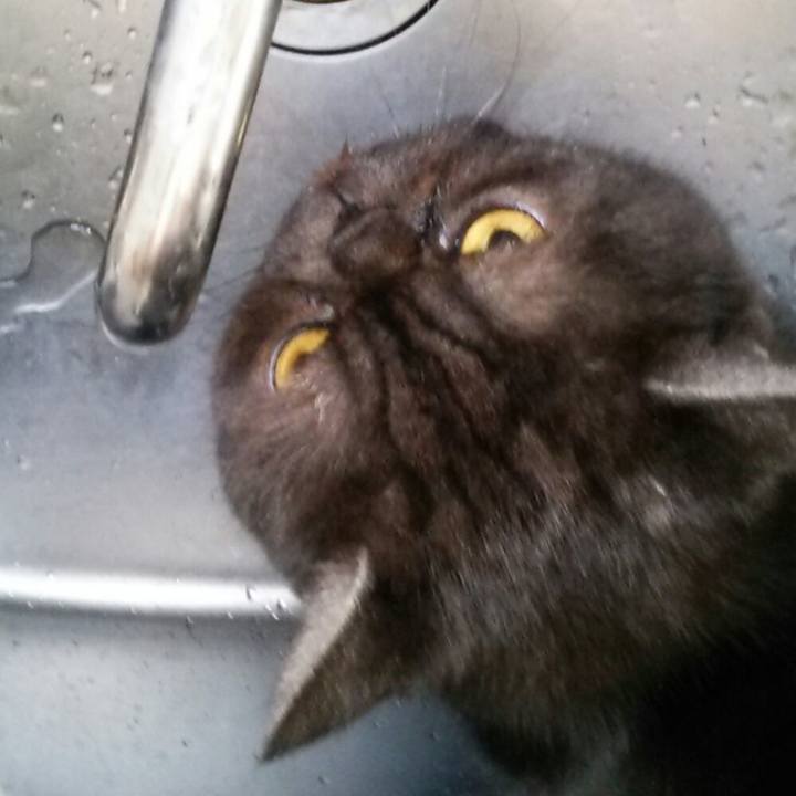 Dee24287 7207 48ef b54e 3618d0977bc7 1549076156210