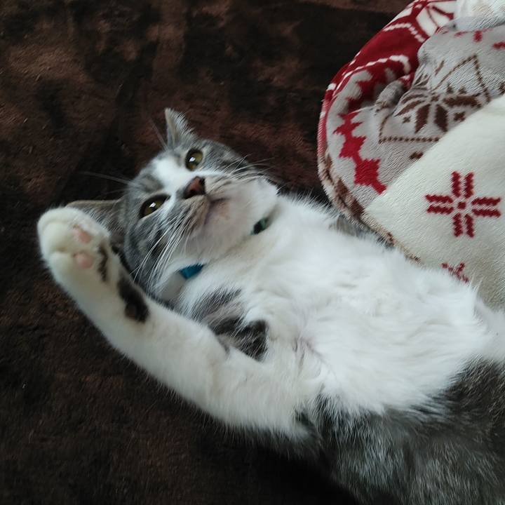 Dee2669b f40e 4176 8e68 219a4ad88acf 1582007027683