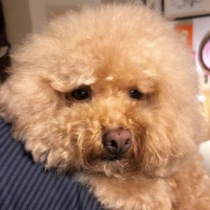 Dee26d3b 3fa7 4562 92be 30451b8673cf 1562503631748