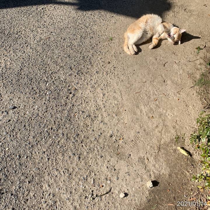 Dee27146 b9d9 4ddd ac4e 2597ed402b06 1610596572586