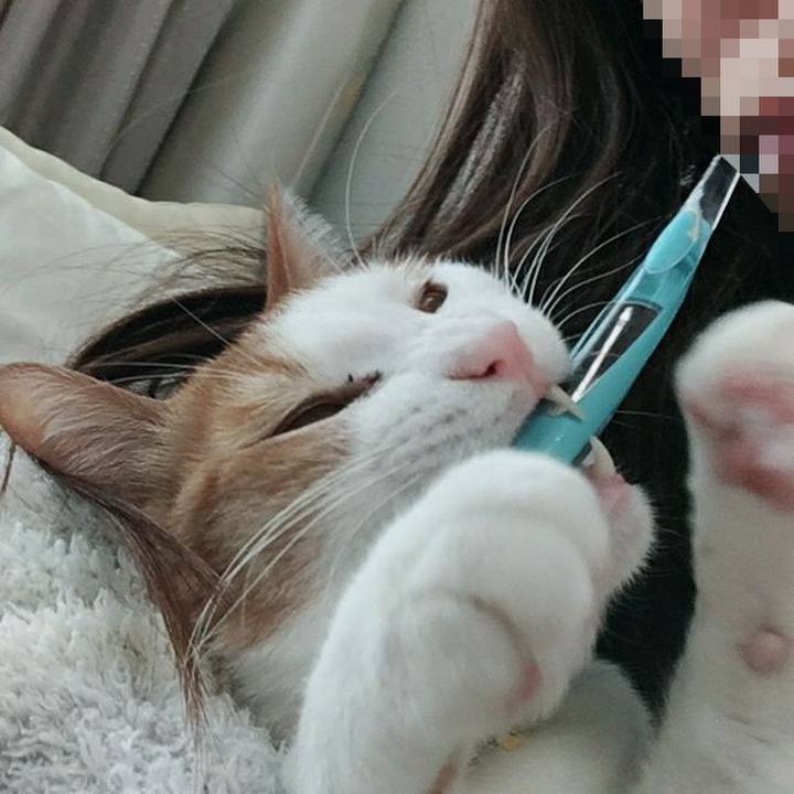 Dee2725b 33c4 4af0 90ba b0b52376cf20 1525920438488