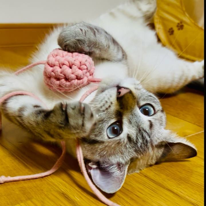 Dee27f89 7a36 45f9 9a62 c8a973e2a6c8 1753278583568